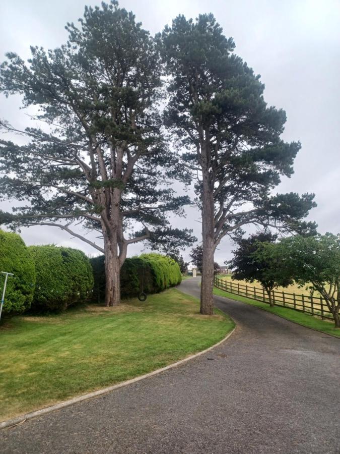 דירות ניוקאסל Loughview Retreat In The Mournes מראה חיצוני תמונה